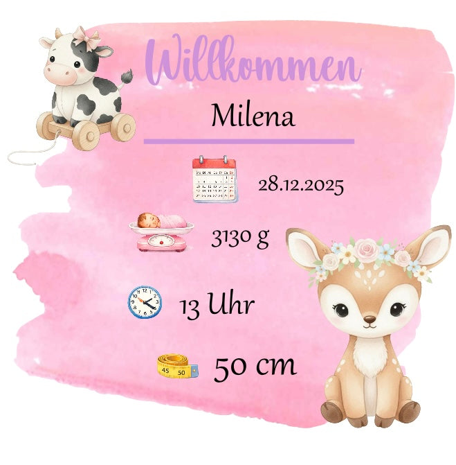Personalisierter Kissenbezug zur Geburt – liebevolles Erinnerungsstück 💕